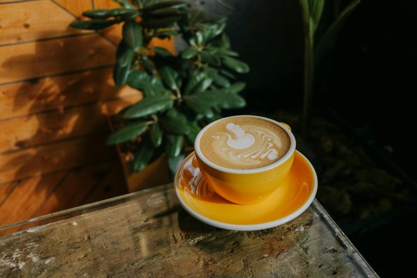 Chausson animaux : choisir le matériau adéquat